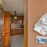 Pitti Tatil Evi *